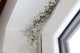 Schimmel an der Wand in der Ecke eines Fensters