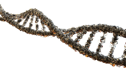 Genetikstrang